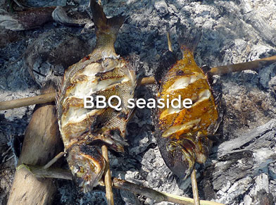 BBQ seaside