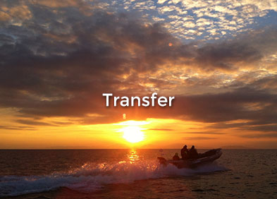 Transfer