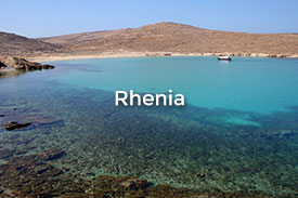 Rhenia