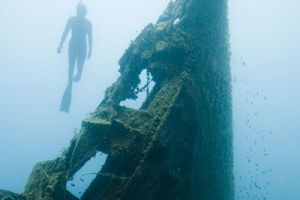 Underwater Photography